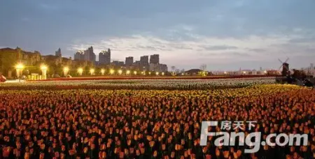 人口密度超纽约苏州撑不住啦 逃离古城寻安居