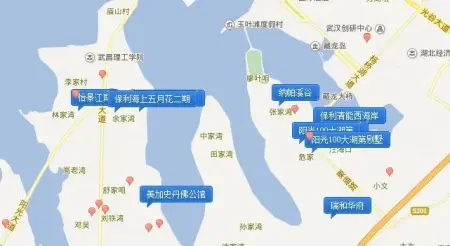 从别墅区到人居高地 汤逊湖上演城市变形记