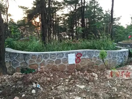 国家4a级景区桂林尧山景区,越来越猖獗的毁林造坟,私建墓地以及修&