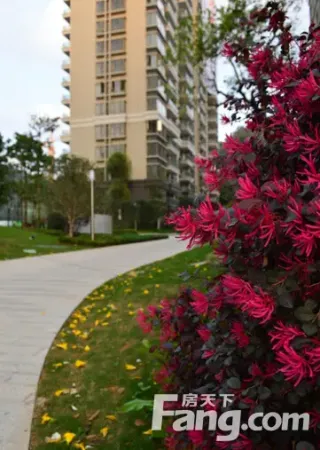 天骄御峰:光明美食街空降 超60款莞邑美食惊艳