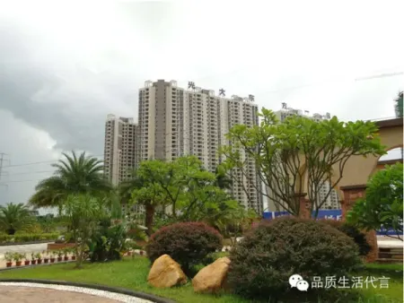 光大地产 爱 飞翔 风筝达人大赛圆满举行