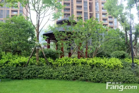 甘棠苑一共有6栋住宅,每栋楼之间的楼间距都非常大,大家从小区