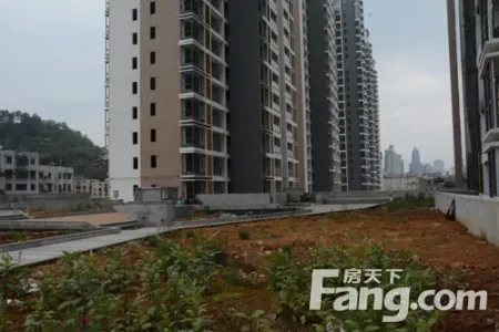 中天·万里湘江:坐镇中央 俯览万千繁华_房产