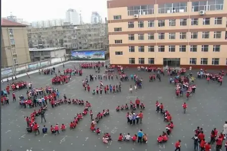 长春最牛X小学入全国500强 长春上榜6所小学