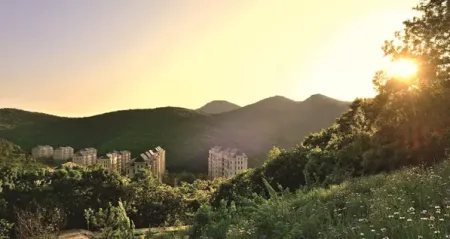 火爆大连!山谷神奇动物秀,热动普罗旺斯!