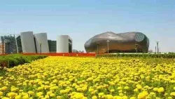 鄂尔多斯 楼市 泡沫 房价 - 房天下综合搜索