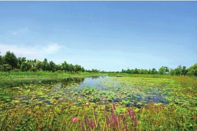 济南小清河湿地公园格局已展现 明年有望纳客