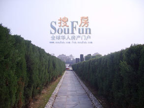 点击查看更多图片
