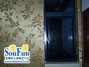 点击查看更多图片
