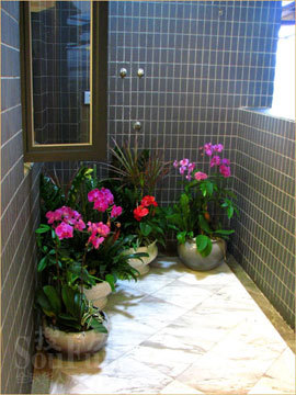 �Ŷ����ʳ� ��ɽ���ز�