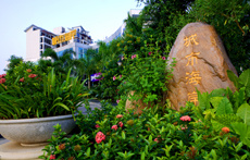 三等奖(城市海岸)