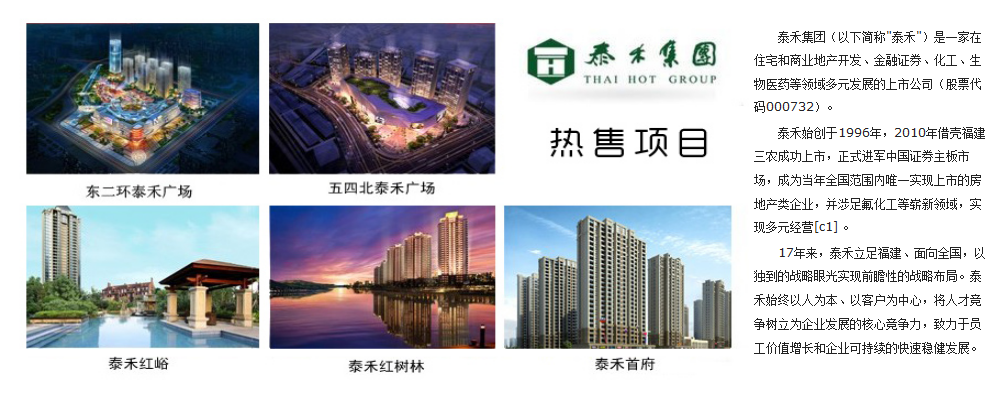 好声音 泰禾好房子 新闻发布会|福州搜房网